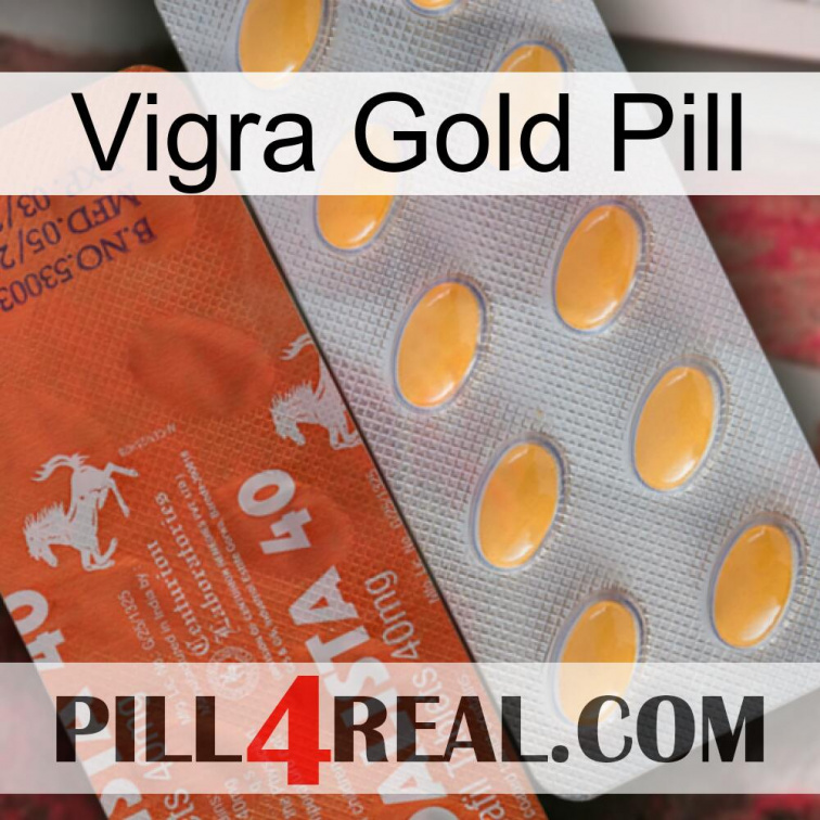 Vigra Gold Pill 43